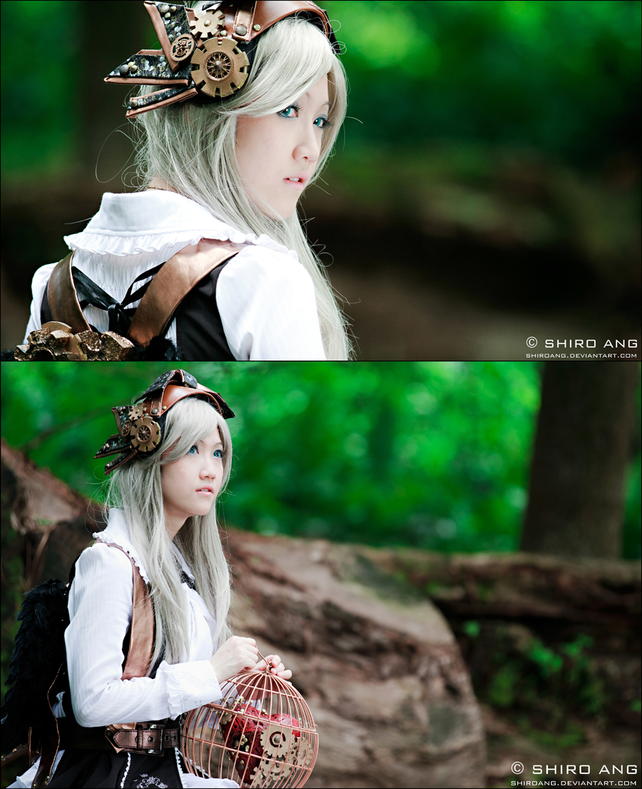 alice_in_steampunkland___02_by_shiroang-d3aqs0w.jpg