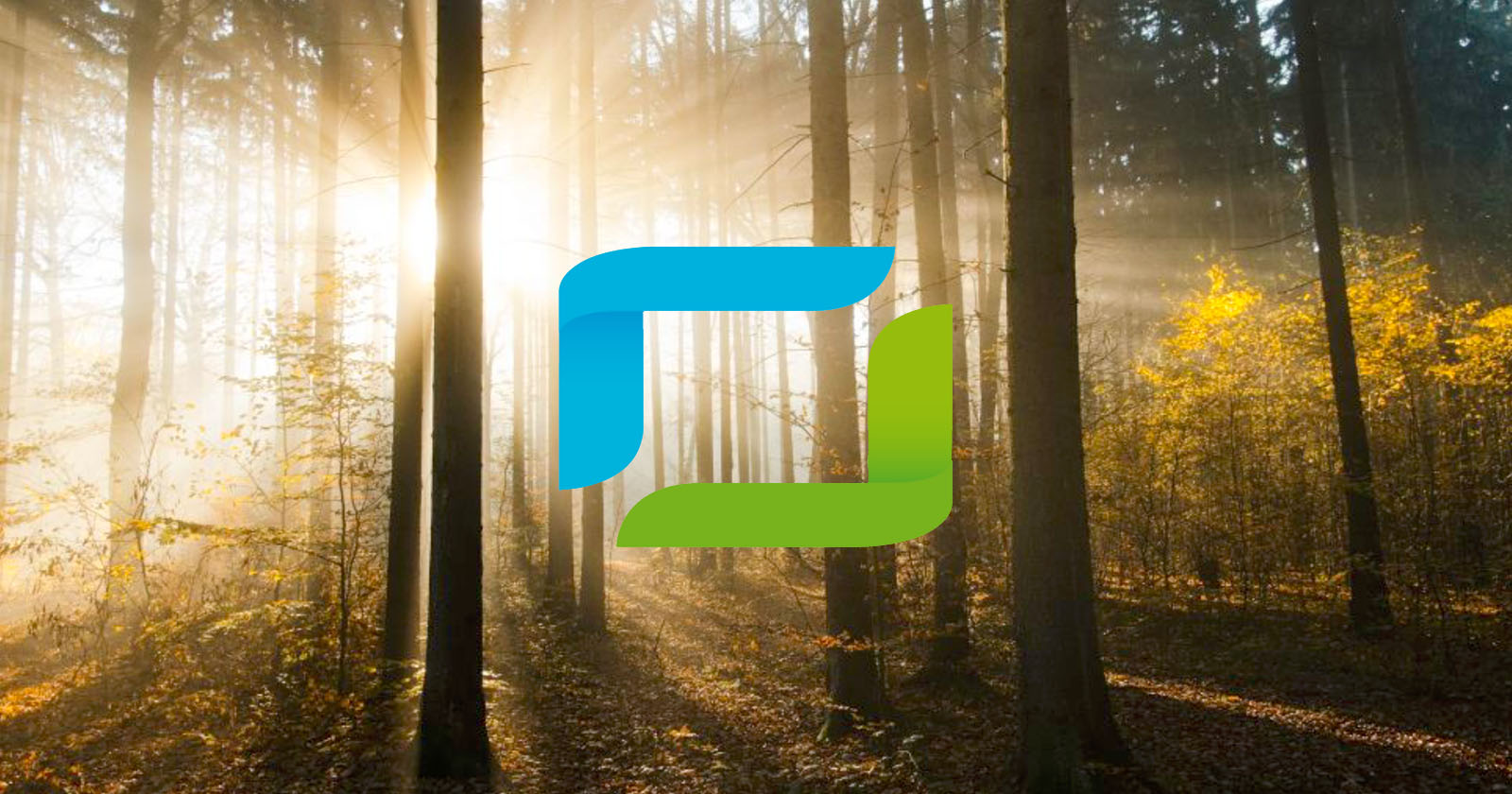 Sunlight filters through a misty forest, illuminating trees and casting long shadows. an abstract blue and green logo overlays the scene on the left side.